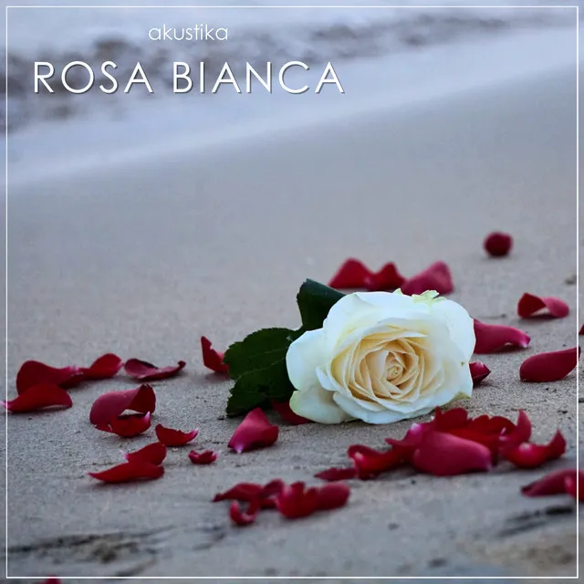 Rosa Bianca