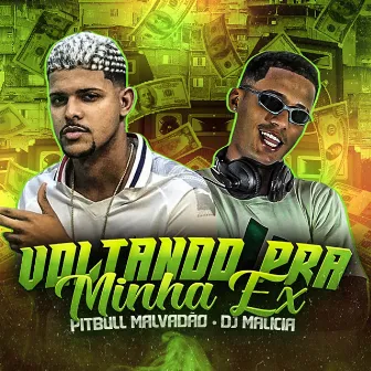 Voltando pra Minha Ex by Pitbull Malvadão