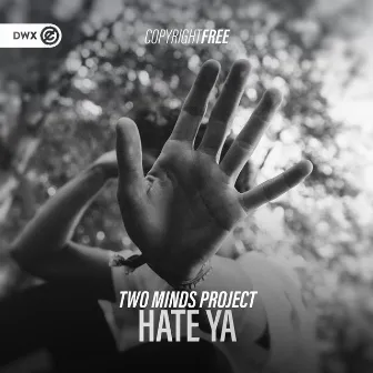 Hate Ya by Two Minds Project