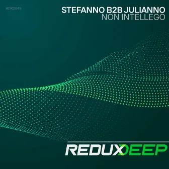 Non intellego by Stefanno b2b Julianno