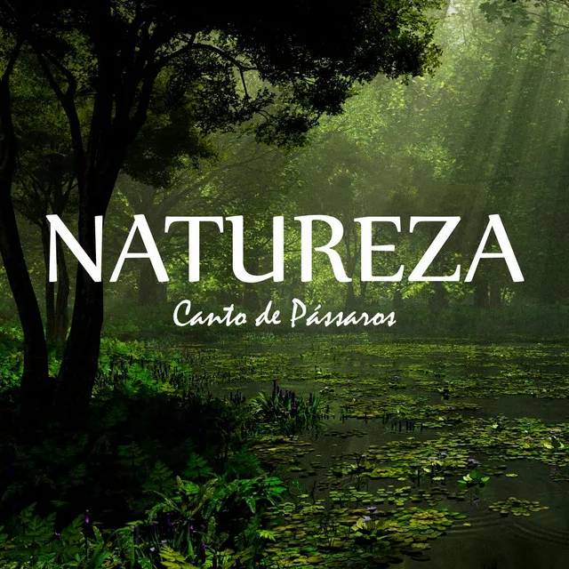 Natureza: Canto de Pássaros