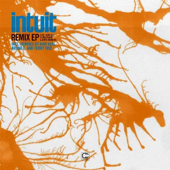 Remix by Intuit