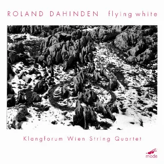 Roland Dahinden: Flying White by Roland Dahinden