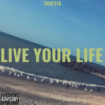 Live Your Life by Big Trip