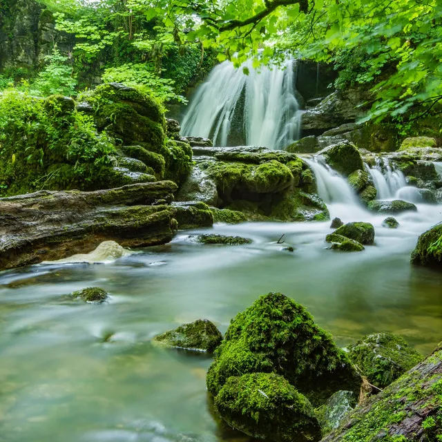 Soft Cosy Stream of Water