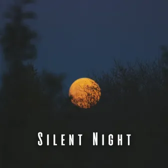 Silent Night: Ambient Music Therapy for Sleep by The Silent Minds