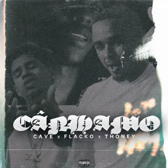 Cânhamo by Visão Records