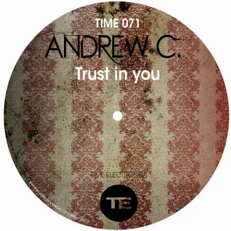 Trust in You by Andrew C