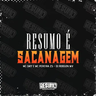 Resumo É Sacanagem by MC Pereira ZS