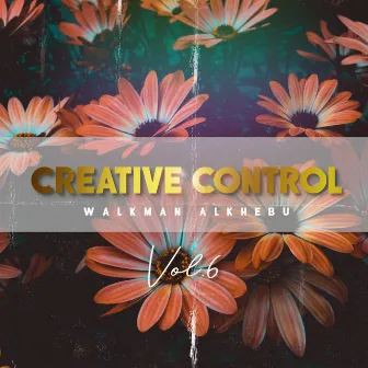 Creative Control (Vol. 6) by Walkman Alkhebu