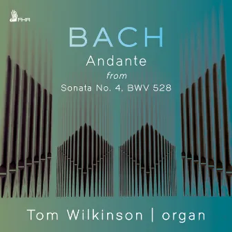 Organ Sonata No. 4 in E Minor, BWV 528: II. Andante by Tom Wilkinson