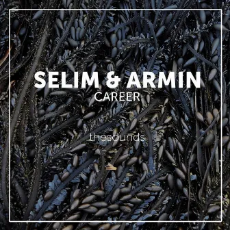 Career by Selim & Armin