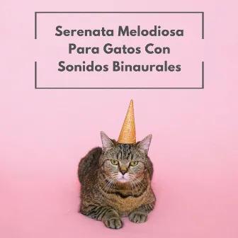 Serenata Melodiosa Para Gatos Con Sonidos Binaurales by Gato Total Relax