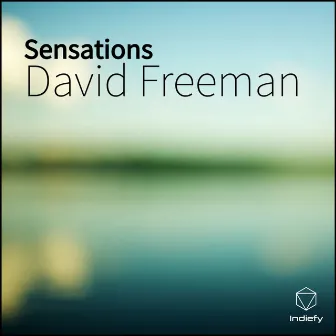 Sensations by David Freeman