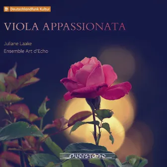 Viola appassionata (Italienische Virtuosenmusik des 16, 17 Jh. für Viola da gamba und Harfe) by Juliane Laake