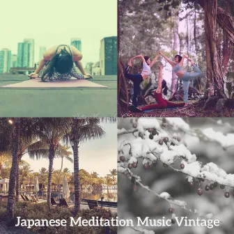 Chilled Music for Zen Gardens - Shakuhachi by Japanese Meditation Music Vintage