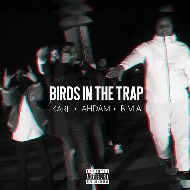 Birds In the Trap