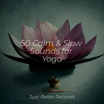 50 Calm & Slow Sounds for Yoga by Sleep Music Lullabies