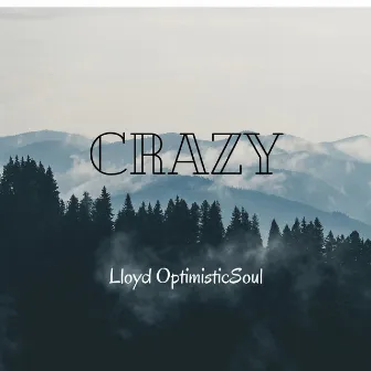 Crazy (Radio Edit) by Lloyd OptimisticSoul