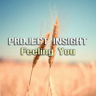 Feeling You by Project Insight