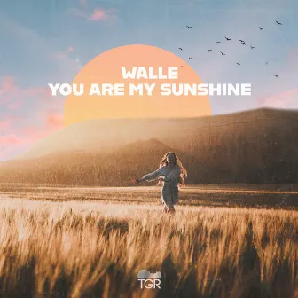 You Are My Sunshine by Walle