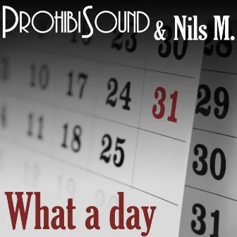 What a Day by Prohibi Sound