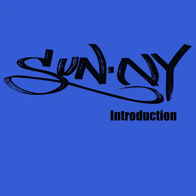 Introduction/E-Single/SunN.Y. - Radio Edit