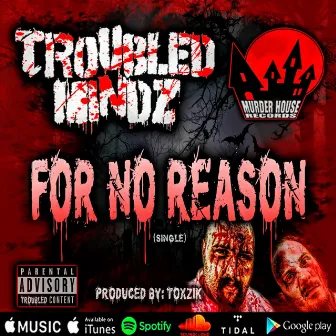 For No Reason by Troubled Mindz