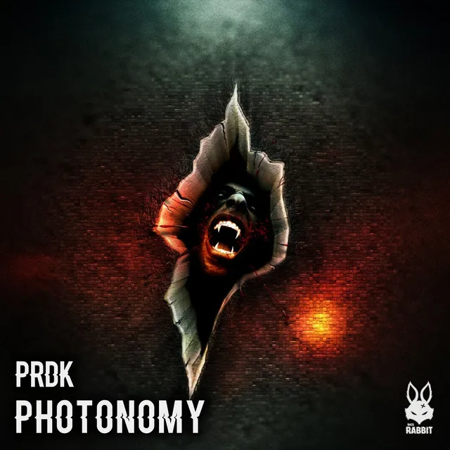 Photonomy