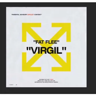 VIRGIL by Fat Flee