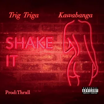 Shake it by Trig Triga