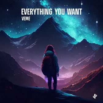 Everything You Want by VEME