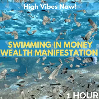 Swimming in Money Wealth Manifestation: One Hour by High Vibes Now!