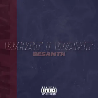 What I Want by Besanth