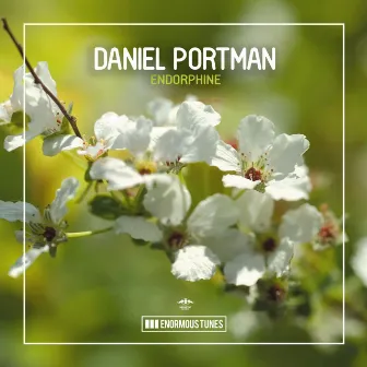 Endorphine by Daniel Portman