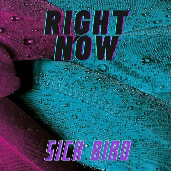 Right Now by Sick Bird