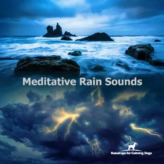 Meditative Rain Sounds by Raindrops for Calming Dogs