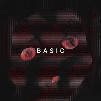 Basic by Mayyyo