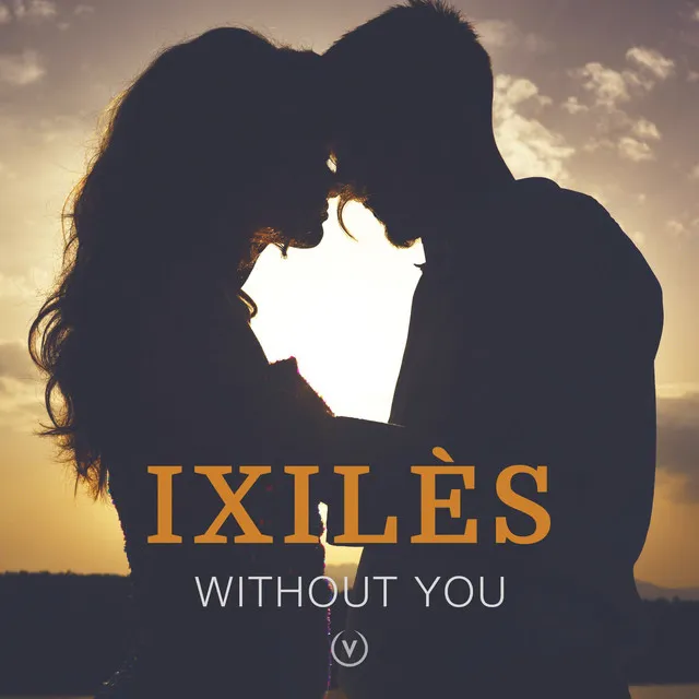 Without You - Radio Edit