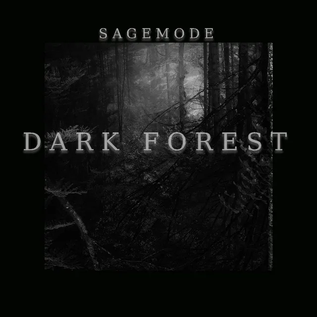 Dark Forest - Original Mix