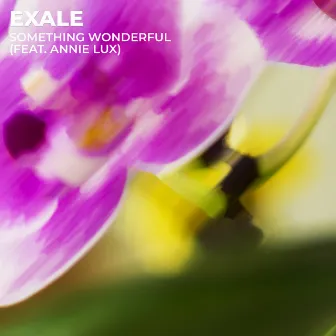 Something Wonderful by Exale