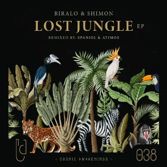 Lost Jungle by Biralo