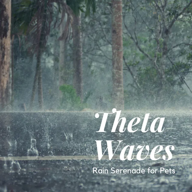 Theta Waves, Rain Serenade for Pets