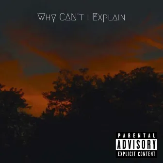 Why Can't I Explain by Larry Thomas Jr.