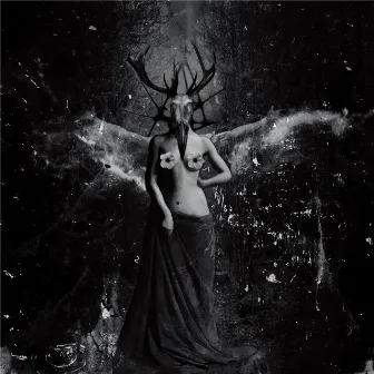 Klĭtôrĭs by Brymo