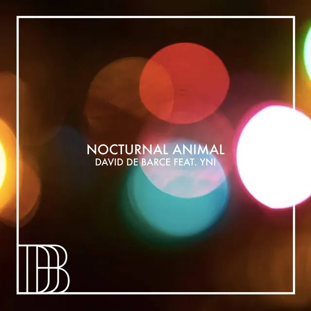 Nocturnal Animal