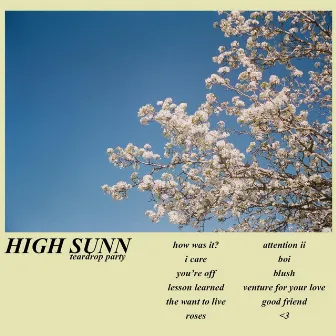 Teardrop Party by High Sunn