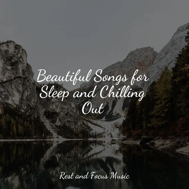 Beautiful Songs for Sleep and Chilling Out