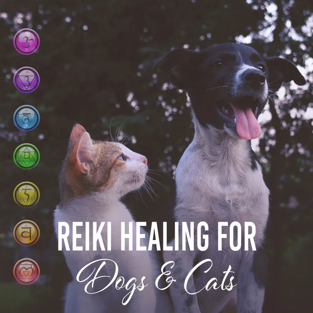 Reiki Healing Unit