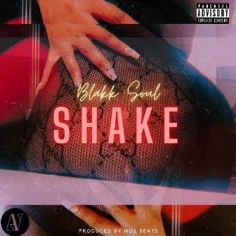 Shake by Blakk Soul